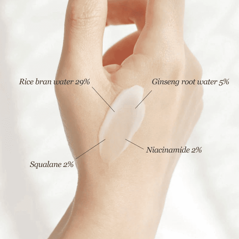 Beauty of Joseon Dynasty Cream 50 ml. – Hanbang-Inspired Moisturiser with Niacinamide & Squalane. - Image 2