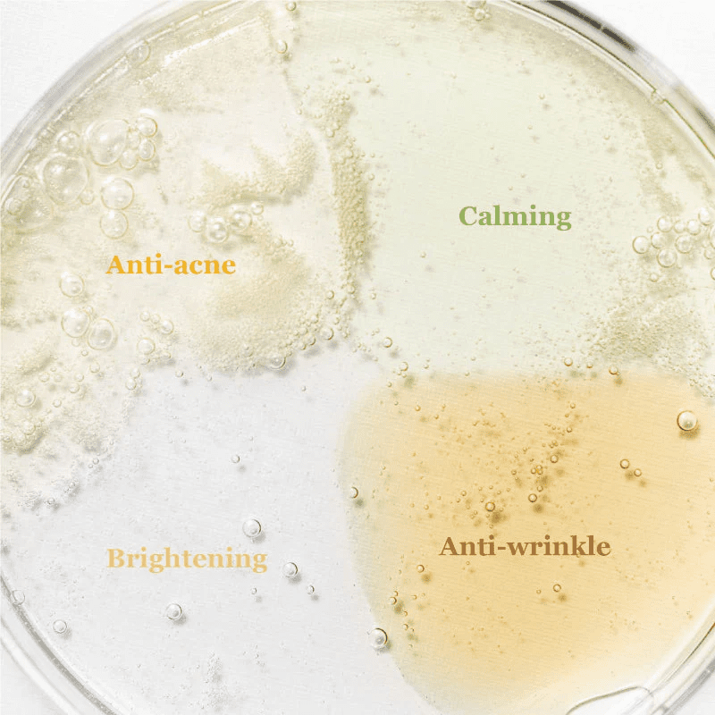 Beauty of Joseon Hanbang Serum Discovery Kit 4 × 10ml Mini Serums. - Image 3